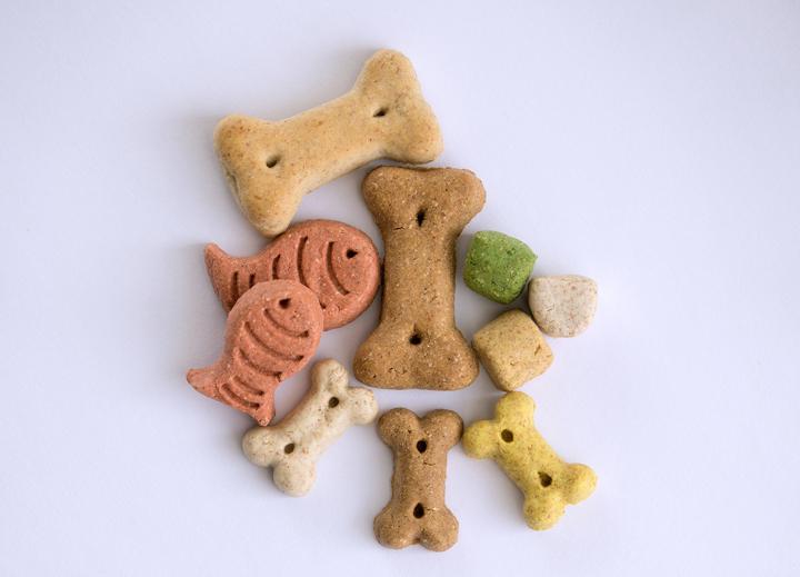 Small pile of brown red and green pet treats in the shape of bones and fish on white background