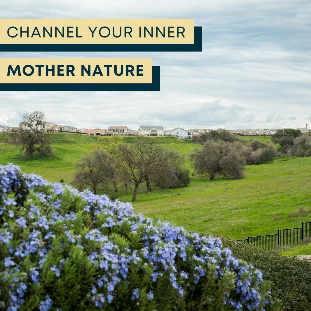 channel your inner mother nature