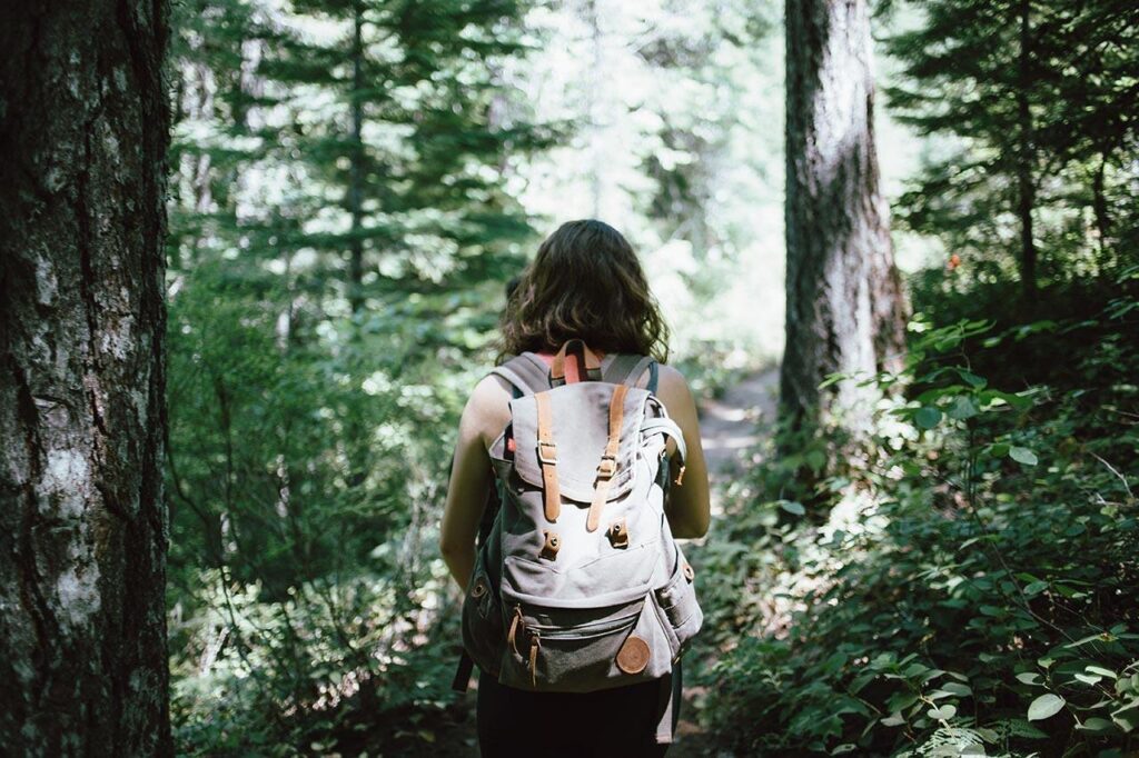 A backpacked person walks through a lush and green forest